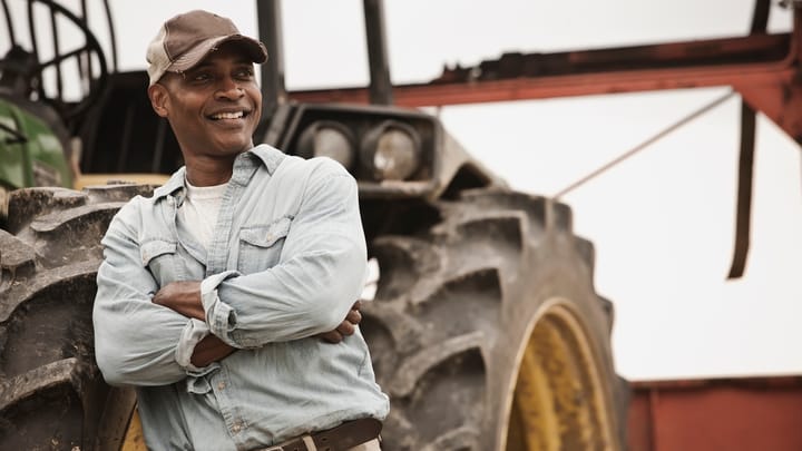 Grain rally lifts farmer sentiment in July, Purdue survey shows