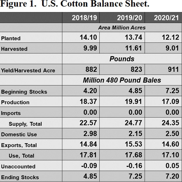 cotton-spin-11-11-20.jpg