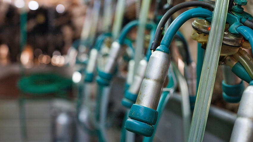 milker heads milker heads