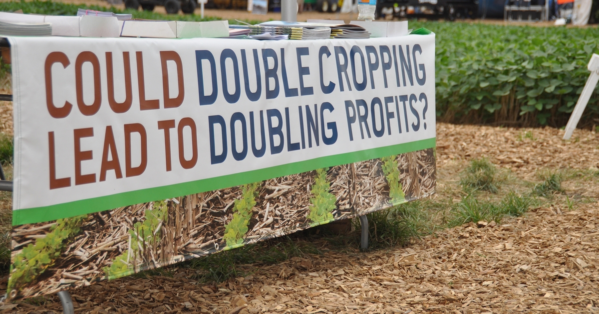 Check out doublecrop soybeans at FPS Farm Progress