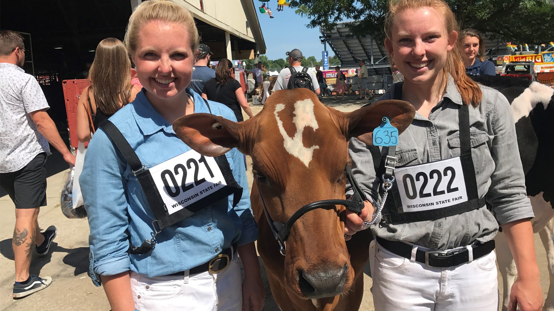 two girls at the halter of a dairy cow during a cattle show