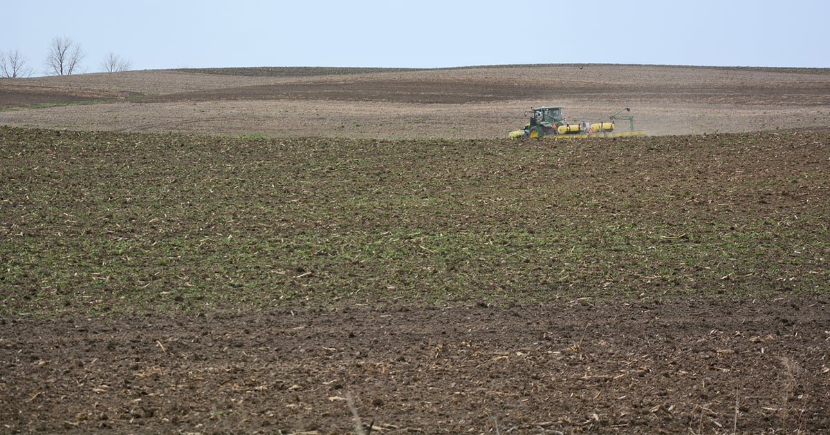 4 management reminders for delayed planting