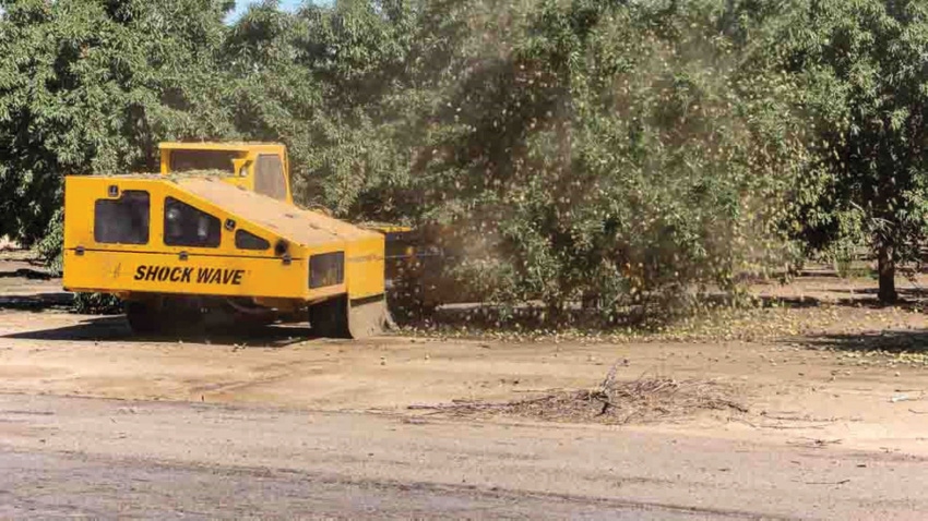Almond harvest Almond harvest