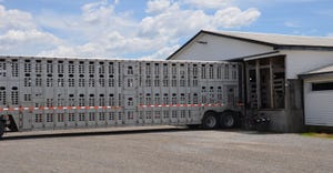 parked livestock transport truck