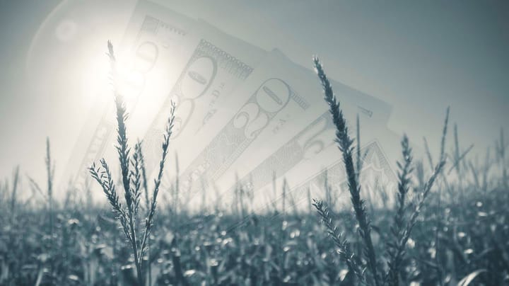 Watch these grain price flash points