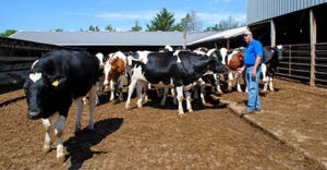 Doug Rebout stands with dairy cows on his farm near Janesville, Wis.