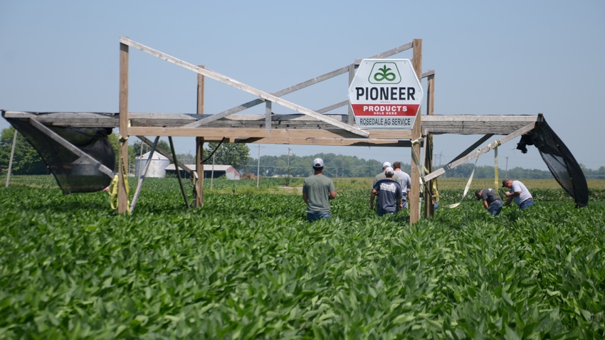wood structure simulates shade over soybeans in test field