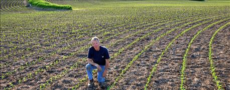 iowa_learning_farms_host_upcoming_cover_crop_field_days_1_636005020555970179.jpg