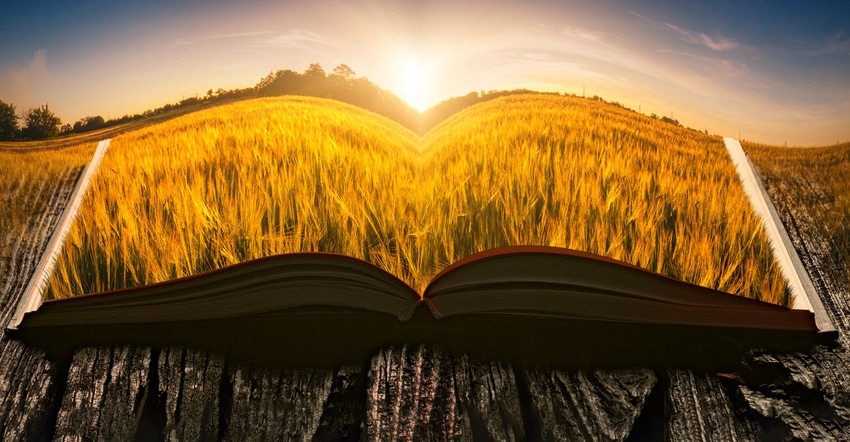 Sunset in a wheat field on the pages of an open magical book