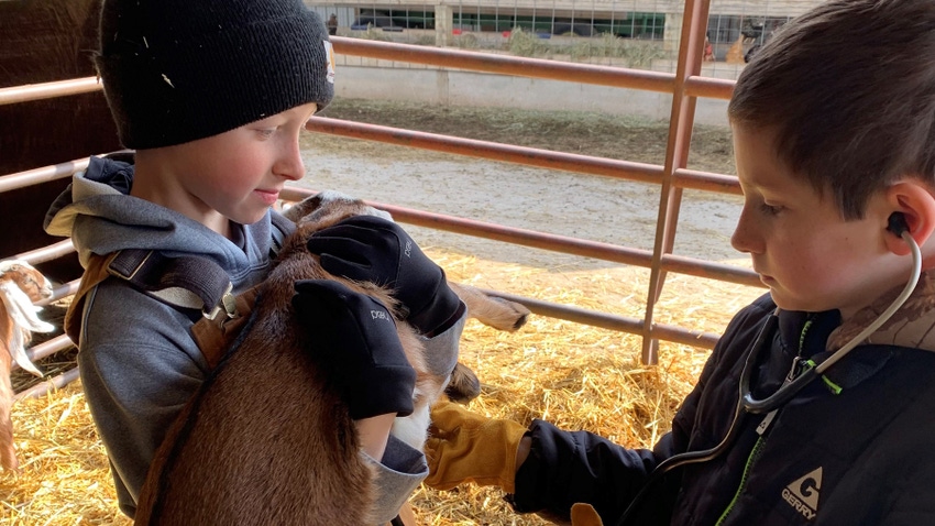 two young boys pet a goat