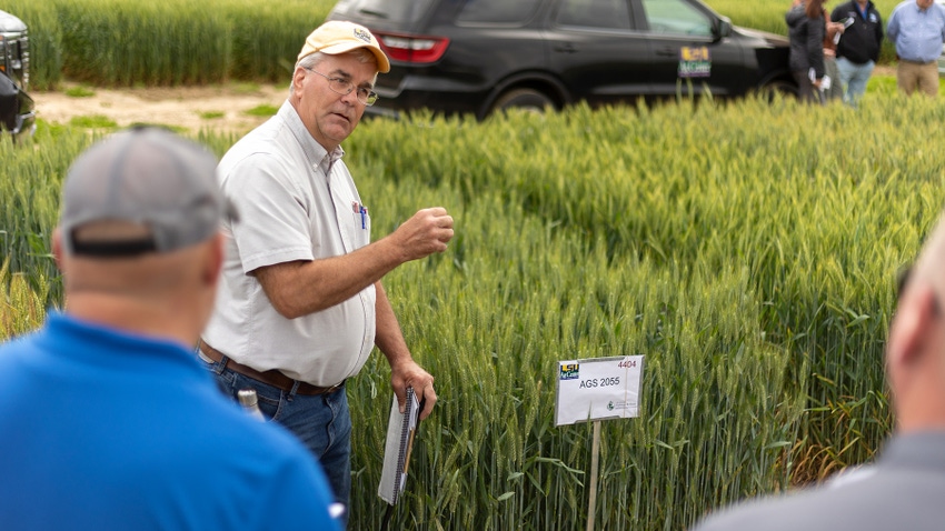 Harrison Wheat Harrison Wheat