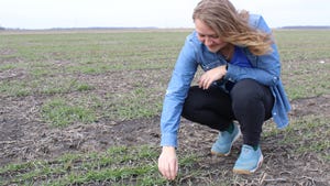 Rachel Stevens kneeling in field and examining soil