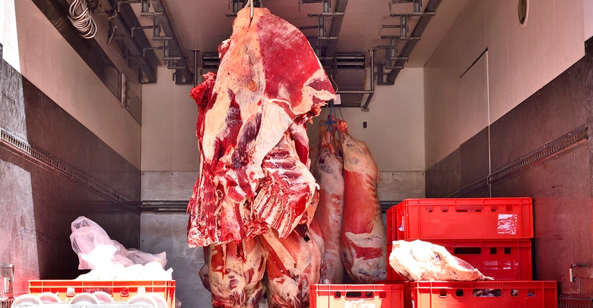 Raw beef hanging on meat hooks in truck