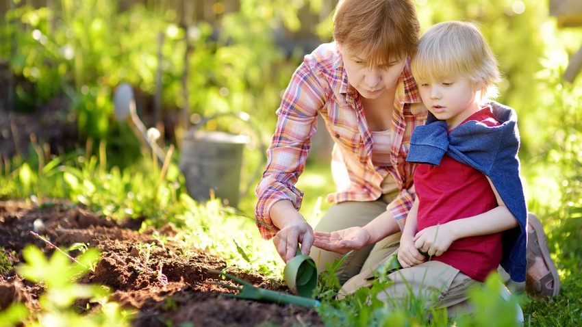 Little boy and woman planting seeds in a backyard garden
