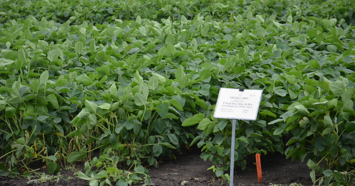 5 things that could be different during this growing season