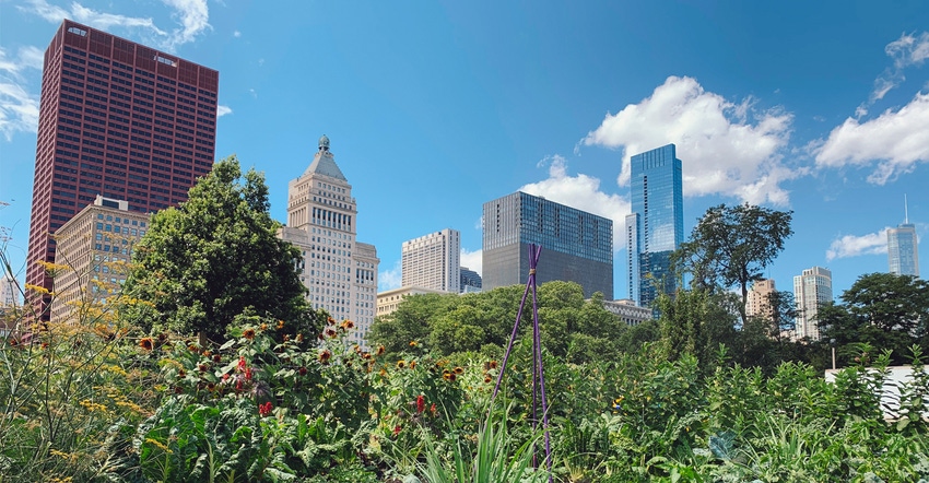 Urban garden in city