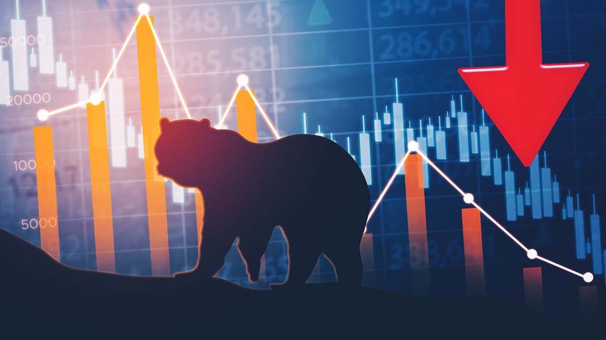 Bear in front of downward market graph