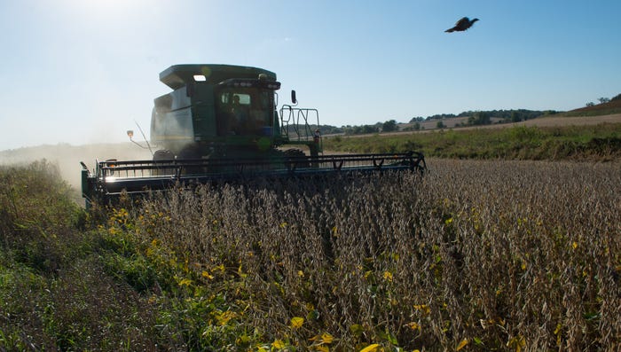 how-fast-do-soybeans-dry-down-during-the-preharvest-time-d78040f8.jpg