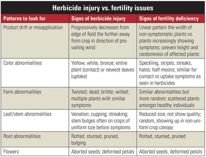 A table outlining the differences between herbicide injury and fertility issues