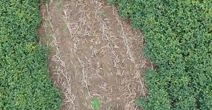 aerial drone shot of soybean field with bare spot