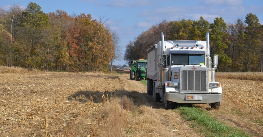 grain trucks driving through field