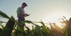 Farmer working in field on cell phone