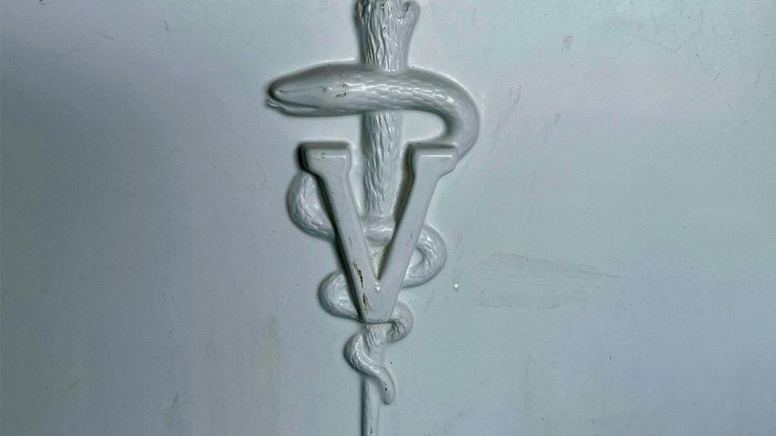 veterinarian insignia/symbol veterinarian insignia/symbol