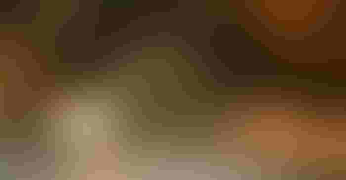 1116W-2216C-1540x800.jpg 1116W-2216C-1540x800.jpg