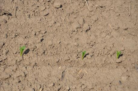 great_time_check_planter_performance_while_corn_small_2_635678056836989288.jpg great_time_check_planter_performance_while_corn_small_2_635678056836989288.jpg
