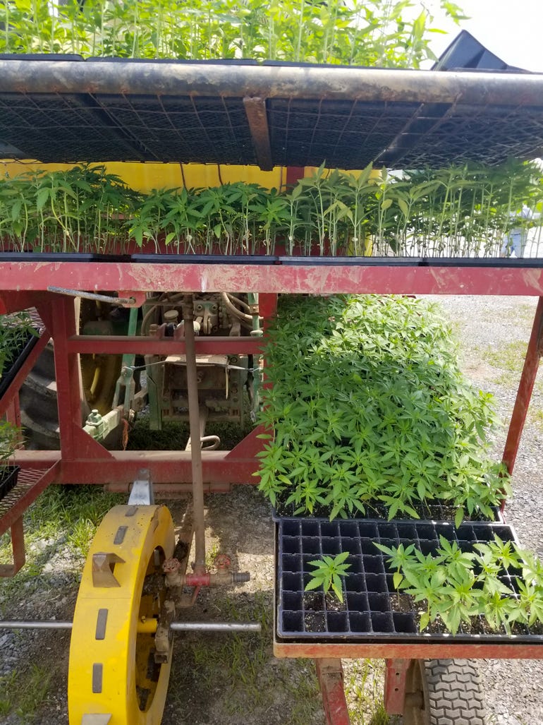 0610F-3738C-770x1027.jpg 0610F-3738C-770x1027.jpg