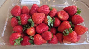 WFP-hearden-strawberries-box.JPG