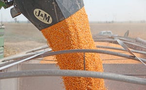 corn-harvest-5315-staff-dfp.jpg