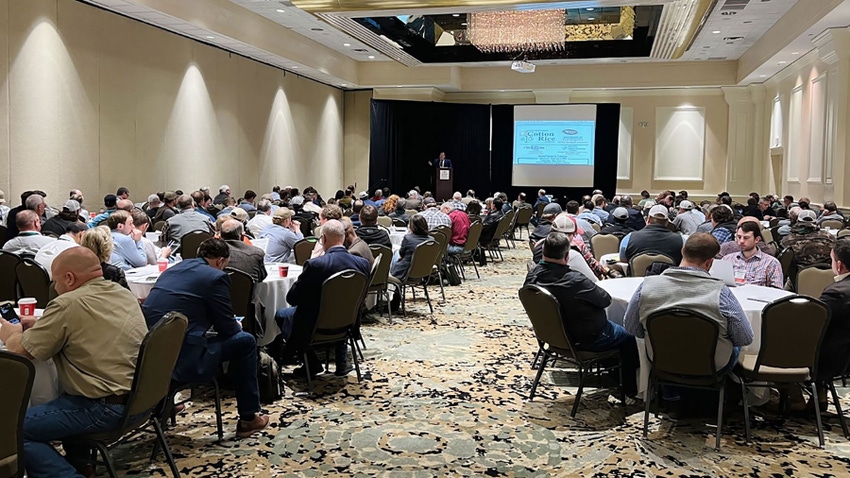 Ballroom full of seated attendees at a conference