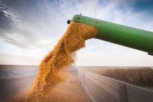 corn_harvest_grain_tractor_GettyImages-638886690.jpg