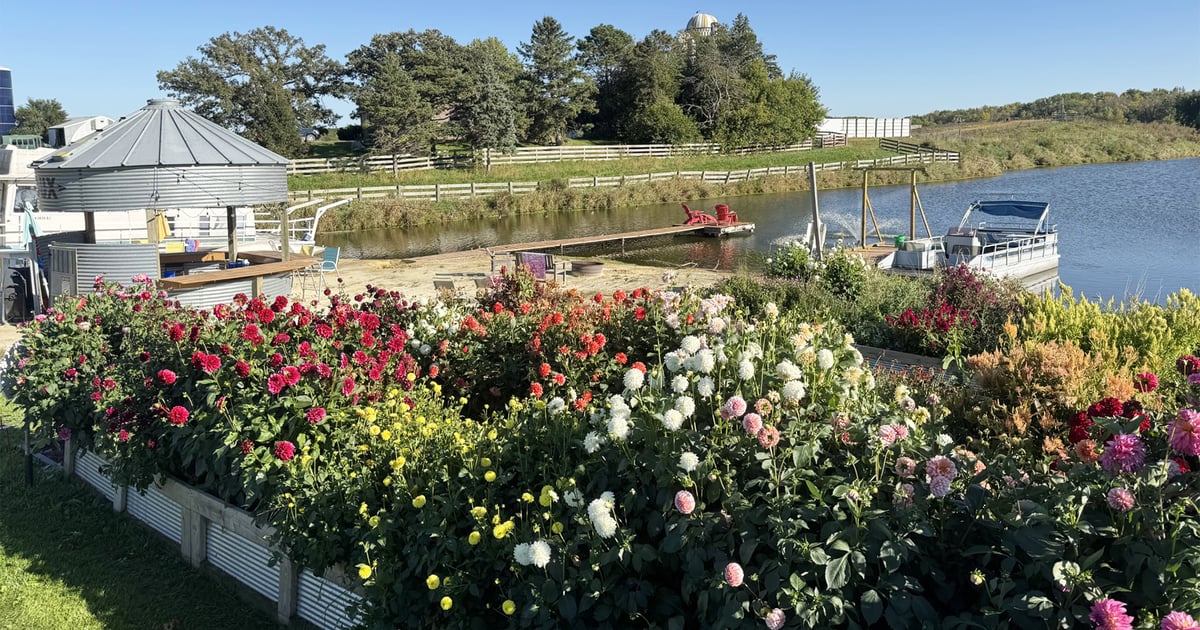 Flower farmers offer agritourism advice