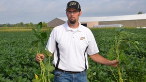 Purdue soybean specialist Shaun Casteel holding soybean plants