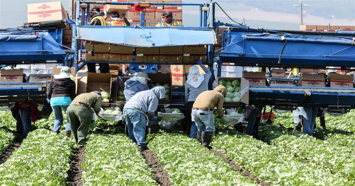 Agriculture reacts to California's new overtime law