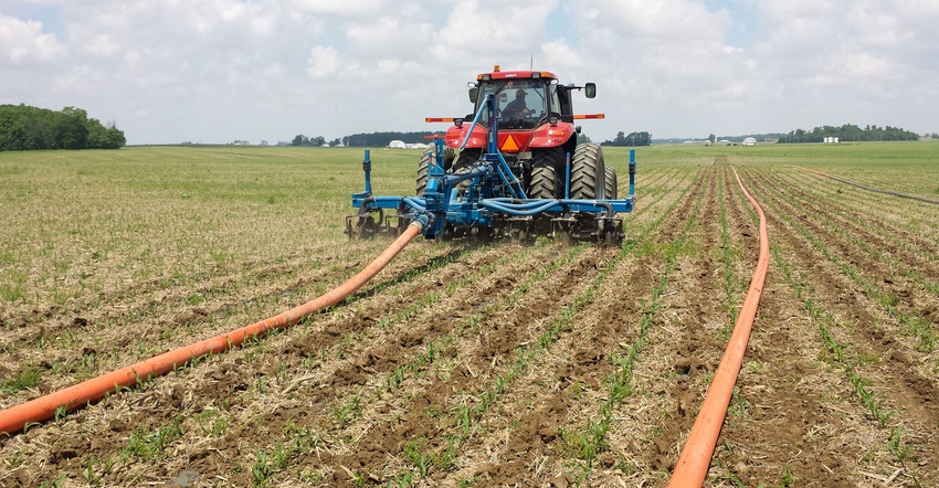 Manure being applied to growing corn 