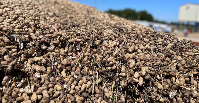 peanut-wagon-buying-point-GA-2022-3-a.jpg peanut-wagon-buying-point-GA-2022-3-a.jpg