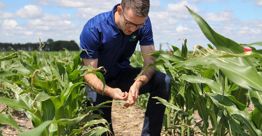 A man kneeling down in a field and examining crops 