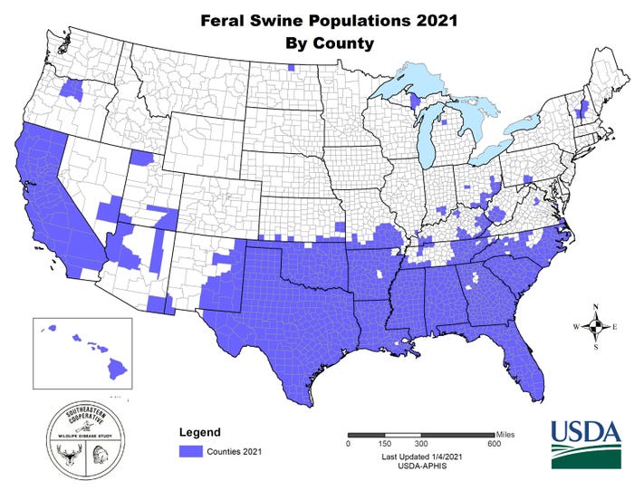 map showing the prevalence of feral swine in the United States in 2021