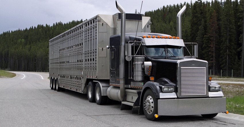 livestock-carrier-GettyImages-533747131.jpg