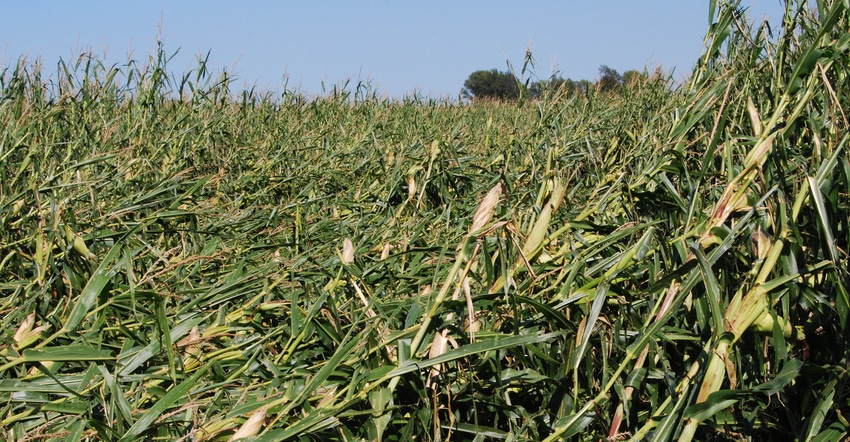 field hit by 2020 derecho