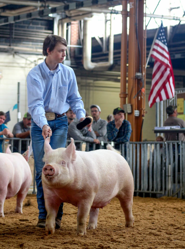 A young man shows his hog