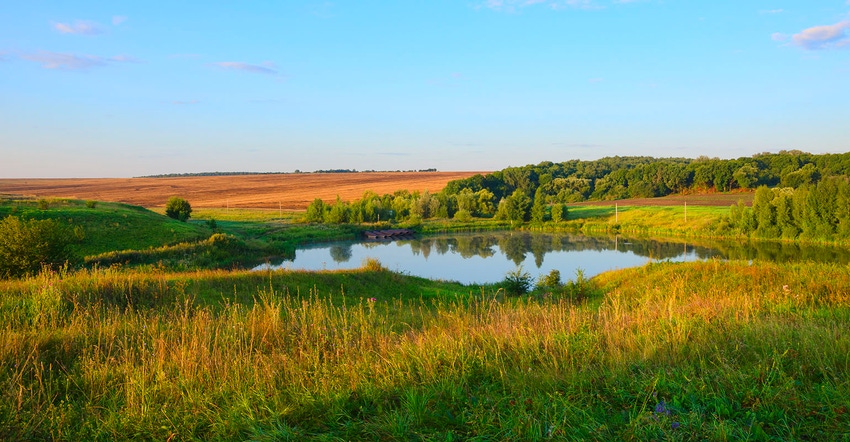 Lake or pond in Tula region,Russia