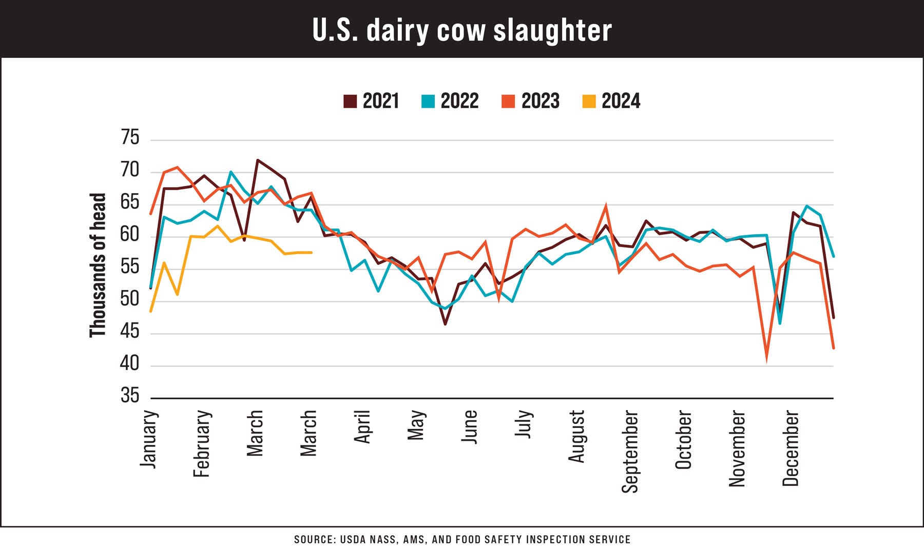 Chart: U.S. dairy cow slaughter, 2021-2024