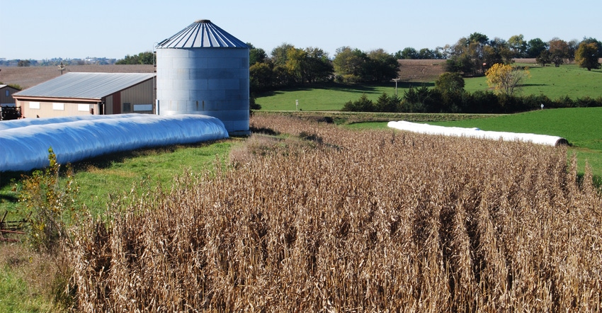 barn and silo with soybean field in foreground
