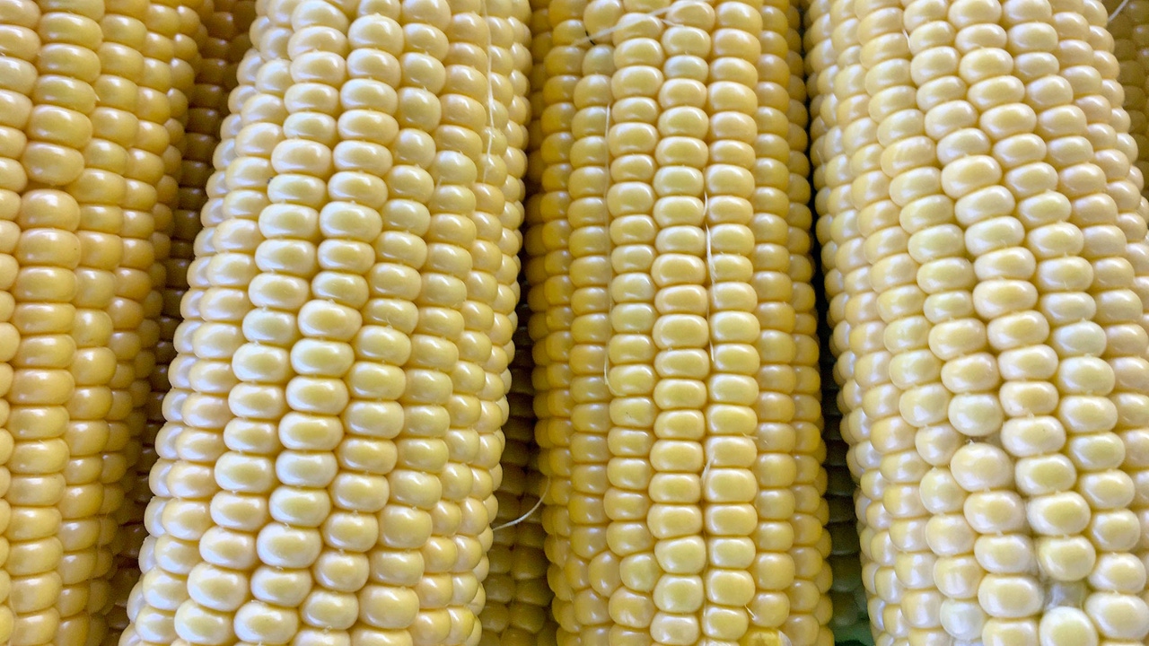 What US states produce the most food? (Ranking 1-50) | Farm Progress