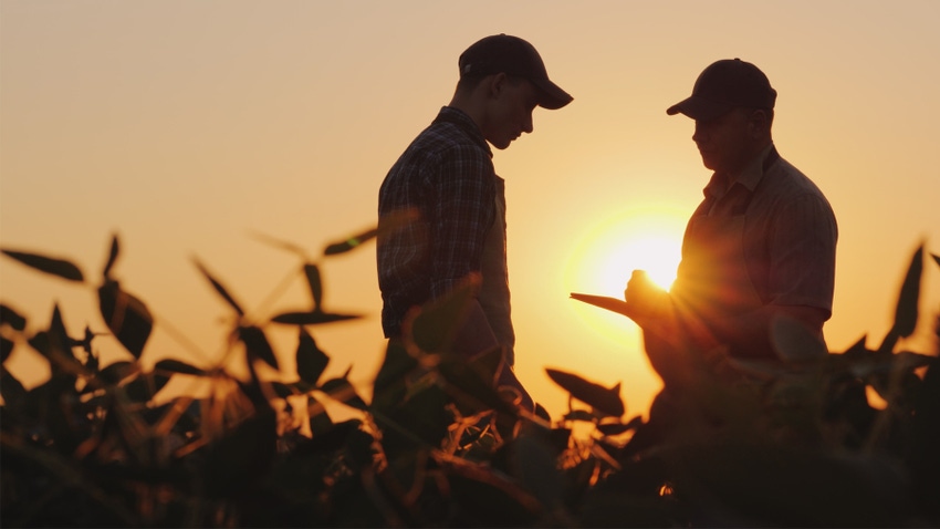 Two farmers silhouetted in field at sunset