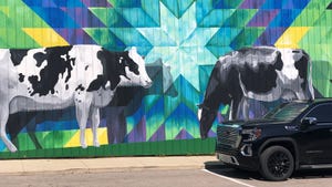 A mural on a side of a building with illustrations of cows and a colorful and geometric background